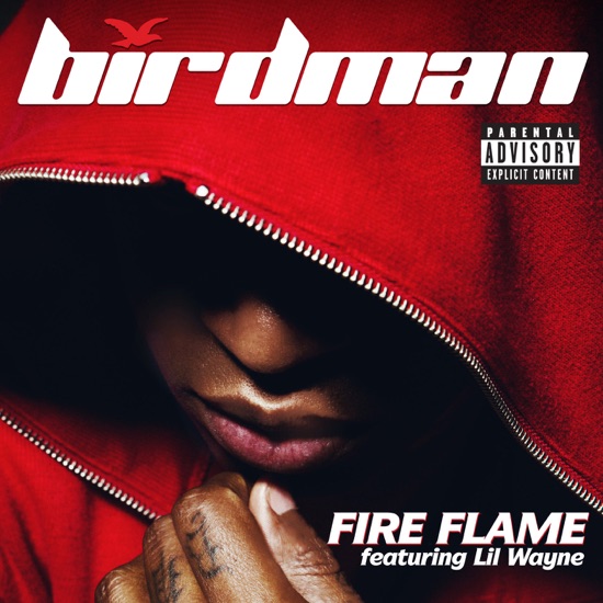 Birdman - Fire flame