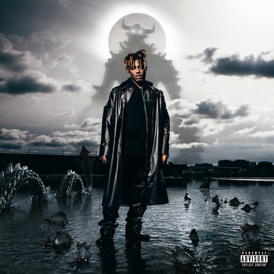 Juice WRLD - My life in a nutshell