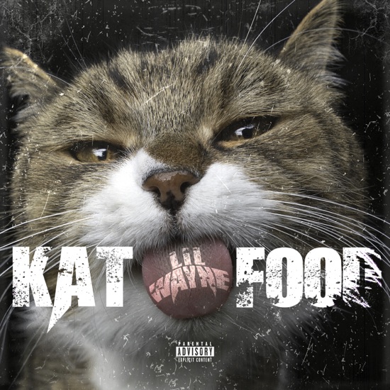 Lil Wayne - Kat food