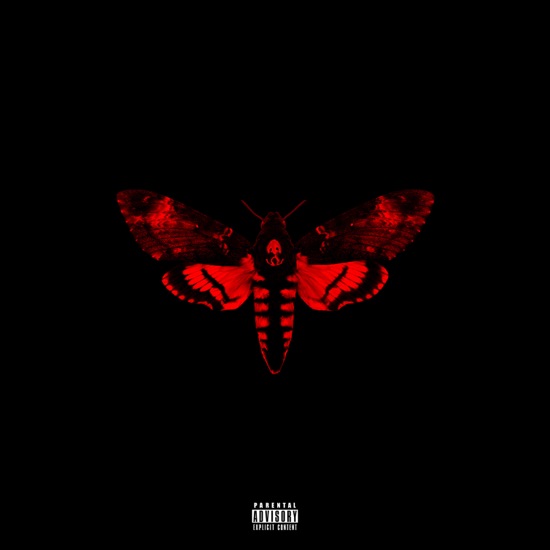Lil Wayne - My homies still