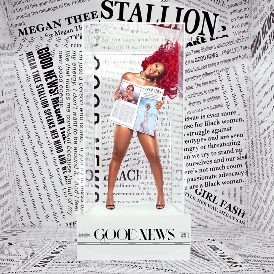 Megan Thee Stallion - Shots fired